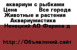 аквариум с рыбками › Цена ­ 1 000 - Все города Животные и растения » Аквариумистика   . Ненецкий АО,Фариха д.